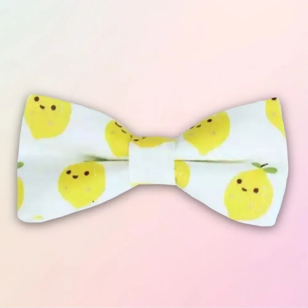 Trendy & Bright, Youth Adjustable Fruity Bow Tie, Assorted, One Size